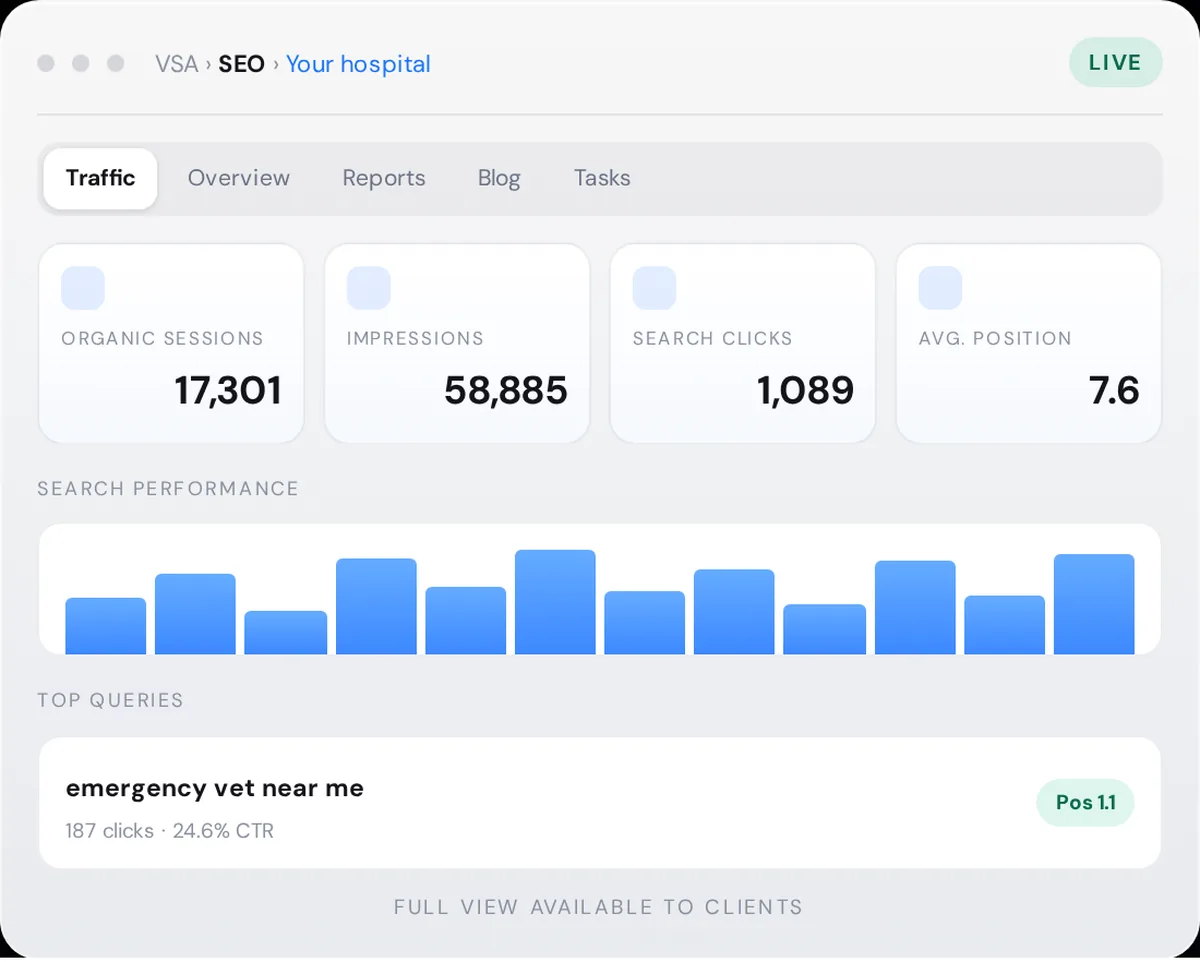 Platform screen: search performance figures and top queries